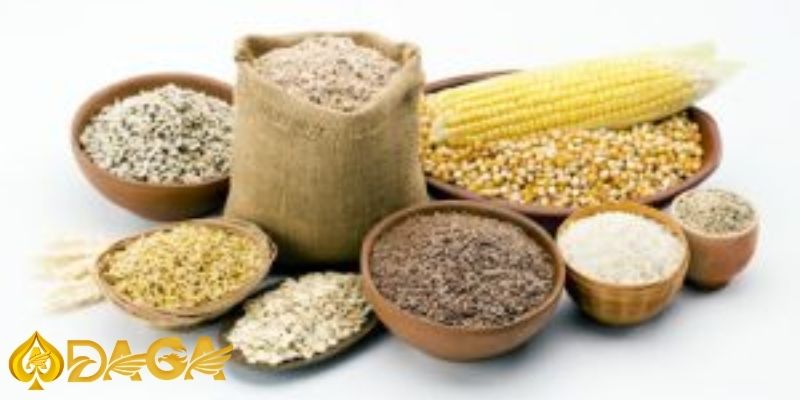 Cách nuôi gà đá hiệu quả: Cẩm nang cho các sư kê Cach nuoi ga da hieu qua 3