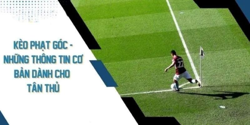 Kèo Phạt Góc - Những Mẹo Hữu Ích Để Đặt Cược Thành Công Một số mẹo soi kèo phạt góc để tăng cơ hội chiến thắng cho anh em tân thủ