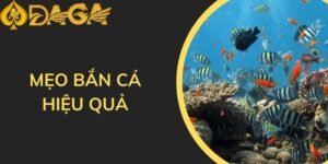 Mẹo bắn cá hiệu quả