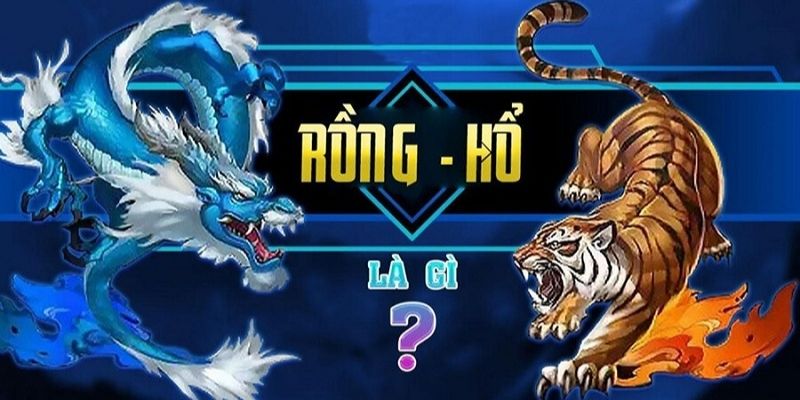Mẹo chơi Rồng Hổ xanh chín: Bí quyết bách chiến bách thắng của cao thủ Meo choi rong ho 1