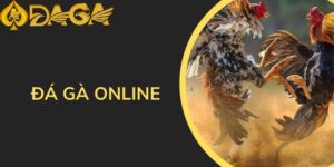 Đá gà online