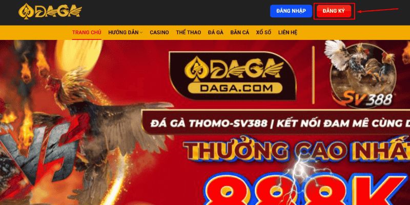 Đá Gà Online là gì? - Cách chơi trên trang DAGA Dang ky tai khoan