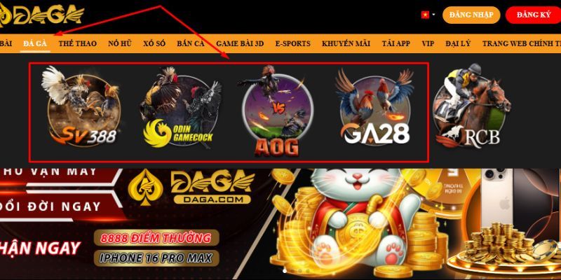 Đá Gà Online là gì? - Cách chơi trên trang DAGA Sanh da ga